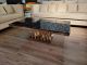 Yelena Coffee Table